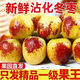 胖東來(lái)同款山東沾化冬棗正宗山東沾化冬棗脆甜新鮮水果冬棗整箱 泡沫箱發(fā)貨  無(wú)任何添加 5斤特大果【拐一商超精選單果16克】