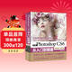Photoshop CS6從入門(mén)到精通 哪吒動(dòng)畫(huà)使用軟件平面建模渲染書(shū)籍 圖像后期圖片設計 ps平面設計調色師手冊