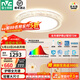 雷士（NVC）LED吸頂燈客廳燈IP40防護全屋套餐燈全光譜護眼RG0防藍光-鳥(niǎo)巢 72W 15㎡內適用 4053lm 全光譜護眼圓燈