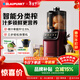 藍寶（BLAUPUNKT）榨汁機原汁機家用渣汁分離果汁機冰淇淋機全自動(dòng)大口徑水果蔬菜榨汁高出汁好清洗純汁率99%