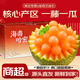 春福樂(lè ) 正宗海南哈密瓜【源頭直發(fā)】脆甜多汁熱帶應當季孕婦水果送禮 5斤嘗鮮裝【精選2-3個(gè)】?jì)糁?.5斤