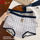 貓人（MiiOW）可愛(ài)小熊內褲女士無(wú)痕10A純棉襠中腰學(xué)院風(fēng)蕾絲邊三四角短褲 奶白格+寶藍熊+菱格熊(獨立包裝/裝) 3條 L (80-110)