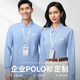 雷薩狼純棉長(cháng)袖POLO衫工作服定制印logo商務(wù)企業(yè)辦公室領(lǐng)導行政工服秋冬 【A款-品質(zhì)款100%純棉長(cháng)袖】淺藍色 L