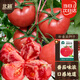 北蔬番茄種子老品種毛粉沙瓤西紅柿盆栽蔬菜種籽 粉果西紅柿種子50粒