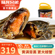 陸龍海諾大醉蟹醬螃蟹毛蟹更好口感即食生腌大閘蟹醉河蟹冷凍海鮮水產(chǎn) [冷凍]偏淡1680g海諾醉蟹約10只