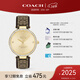 蔻馳（COACH）PARK系列 皮帶石英女表 14503456 新年禮物/送禮