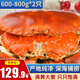 黃金面包蟹熟凍大螃蟹英國特超大鮮活海鮮水產(chǎn) 大號面包蟹600-800g/只*2