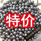 維諾亞鋼珠8毫米8mm9mm10mm鐵珠剛珠彈珠彈弓鋼珠 9mm鋼珠 5斤