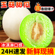 探味君 海南冰淇淋玉菇甜瓜 應當季新鮮水果現摘小香瓜羊角甜瓜白瓜整箱 凈重8.5-9斤 【實(shí)惠裝】清甜多汁
