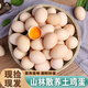 南步散養土雞蛋【現撿速發(fā)】新鮮農家雞蛋草雞蛋正宗柴雞蛋笨雞蛋初生 20枚裝 【單枚40-45g】約800g