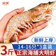 朵芙海捕大明蝦 大對蝦 鮮活船凍 對蝦 竹節蝦海蝦大蝦過(guò)年禮盒送禮 海捕大明蝦 500g(凈重)  *3盒