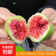 無(wú)花果樹(shù)果苗波姬紅紫果砂糖特大果庭院矮化盆栽四季南方北方種植 紅甜心6年苗【當年結果】 81cm(含)-110cm(含)