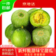 京地達山東綠寶石甜瓜12枚原箱裝凈重12斤香瓜新鮮水果源頭直發(fā)包郵