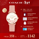 蔻馳（COACH）PERRY系列茶玫瑰皮帶石英女表14503769 羅一舟推薦 新年禮物/送禮