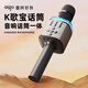 愛(ài)國者（aigo）K162話(huà)筒音響一體麥克風(fēng)家用K歌無(wú)線(xiàn)藍牙音箱聲卡KTV唱歌麥 K162星空銀【大音量+自帶聲卡】