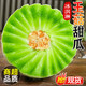 春福樂(lè )玉菇甜瓜【源頭直發(fā)】海南冰淇淋玉菇甜瓜香瓜蜜瓜當季新鮮水果 5斤精選裝【香甜多汁】?jì)糁?.5斤