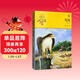 鳥(niǎo)奴 動(dòng)物小說(shuō)大王沈石溪品藏書(shū)系新版 兒童文學(xué)故事書(shū) 課外閱讀 暑期閱讀 正版圖書(shū)