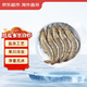 京東超市 海外直采厄瓜多爾白蝦 鹽凍 凈重4斤 60-80只/盒 自營(yíng)火鍋食材