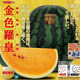 佰味說(shuō)金色羅皇西瓜種子日本進(jìn)口金色羅皇西瓜高糖度金色羅皇西瓜種薄皮 【正品保障】金色羅皇西瓜試種分裝3?！静话l(fā)芽退】