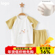 寬葉竹嬰兒短袖套裝全棉無(wú)骨夏季薄款衣服男女寶寶短袖短褲兩件套夏天裝 22056姜黃 80