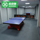 新綠里（SIGREENY）乒乓球地膠室內乒乓球場(chǎng)地膠墊pvc運動(dòng)塑膠地板專(zhuān)業(yè)羽毛球地膠墊