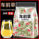 另善堂車(chē)前草泡水喝的尿酸茶高降利尿祛濕茶痛風(fēng)野生中藥材的功效與作用 【獨立包裝】車(chē)前草中藥材泡水非顆粒 1包*1包 車(chē)前草62包【遠離酸痛】