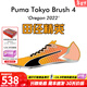彪馬（PUMA） 俄勒岡世錦賽新款 田徑精英Puma Tokyo Brush 4男女專(zhuān)業(yè)短跑釘鞋 376998-01/有原裝背袋 42