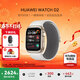華為（HUAWEI）手表WATCH D2【咨詢(xún)享優(yōu)惠】腕部心電血壓采集記錄儀家用血氧睡眠壓力體溫監測運動(dòng)健康家人禮物 晨曦金【送保護膜+曬單十選一】