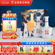 金徽 世紀金徽五星 濃香型白酒 52度 500ml*2瓶 禮盒裝 年貨送禮