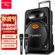 山水（SANSUI）A15-66 15吋廣場(chǎng)舞音響 大功率戶(hù)外音響移動(dòng)便攜式藍牙拉桿音響 卡拉ok一體機吉他舞臺演出K歌音箱 旗艦版（拉桿音箱+2個(gè)話(huà)筒）