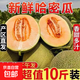 海南西州哈密瓜當季爆甜新鮮蜜瓜曉蜜25號網(wǎng)紋瓜9斤裝【秒殺】 帶箱9-10斤 3-5個(gè)裝