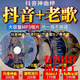2026新版汽車(chē)載cd碟片抖音流行網(wǎng)紅歌曲中文dj無(wú)損高音質(zhì)車(chē)用光盤(pán) 唞音+老歌 2張【390首】