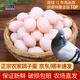 均鮮新鮮土鴿子蛋雜糧喂養農家特產(chǎn)白鴿蛋信鴿蛋孕婦寶寶年貨節禮盒裝 30枚610g左右精選鮮鴿蛋