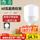 雷士（NVC）LED燈泡球泡節能E27大螺口家用商用大功率光源工礦燈40瓦白光柱泡