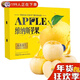山東黃金維納斯蘋(píng)果 當季新鮮奶油蘋(píng)果冰糖心黃元帥蘋(píng)果孕婦水果 8斤 優(yōu)選果【精美禮盒裝】