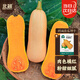 北蔬 南瓜種子種苗甜糯板栗紅心四季盆栽蔬菜種籽 奶油南瓜種子20粒