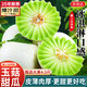 京地達海南玉菇甜瓜冰淇淋蜜瓜凈重5斤單果1000g+新鮮水果源頭直發(fā)包郵