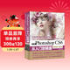 Photoshop CS6從入門(mén)到精通 哪吒動(dòng)畫(huà)使用軟件平面建模渲染書(shū)籍 圖像后期圖片設計 ps平面設計調色師手冊