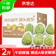京地達云南牛奶釋迦果番荔枝凈重2斤單果150g 老樹(shù)佛頭果 源頭直發(fā)包郵