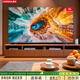 康佳（KONKA）電視50英寸 一級能效 4K超清全面屏語(yǔ)音電視65 一鍵投屏智能液晶電視55 農村家用老人液晶電視 43英寸