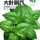 耘淘九層塔大葉羅勒種子盆栽可食用蔬菜香草種菜籽甜羅勒薄荷四季種孑 大葉荊芥種子1包約1000粒 原裝