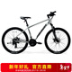 美利達（MERIDA）25款 雄獅610 山地自行車(chē) 21速 斯灰銀 26*17 (建議身高168-178CM)