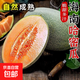 正宗西州蜜瓜  脆甜多汁軟糯香甜蜜哈密瓜 新鮮采摘應季生鮮水果 海南哈密瓜3-4斤（1-2個(gè)）