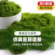iosn仿真苔蘚草皮魚(yú)缸造景絲狀苔蘚青苔假草皮微景觀(guān)布置假山石頭盆景 50g深綠色絲狀苔蘚 環(huán)保材質(zhì)/耐久耐用/無(wú)異味污染