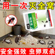 衛將蟑螂藥膏誘餌劑一次全窩絕殺家用非無(wú)毒強力殺蟲(chóng)劑滅蟑螂小強克星 1包【無(wú)蟑螂】