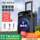 愛(ài)國者S55 8吋廣場(chǎng)舞音響大功率便攜式戶(hù)外重低音藍牙音箱k歌大音量移動(dòng)拉桿音箱室外演出設備 單麥克風(fēng)