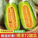 順豐次日達】正宗博洋72號甜瓜新鮮脆甜頭茬新鮮現摘酥脆蜜甜 帶箱5斤重【凈重4.5-4.7斤】 正宗博洋72號|產(chǎn)地直發(fā)|壞果包賠