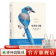 【天際線(xiàn)系列】云彩收集者手冊/動(dòng)物建筑 /樹(shù)葉的故事/四季野趣/星座的故事/雜草的故事/天氣的秘密 譯林出版社 鳥(niǎo)類(lèi)的天賦