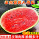 春福樂(lè )正宗脆甜西瓜當季新鮮水果黑美人西瓜生鮮云南特產(chǎn)整箱 凈重6-7斤【1個(gè)裝】定制防撞包裝