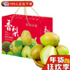 戀巧陜西紅香酥梨 新鮮皮薄多汁香甜脆甜無(wú)渣小香梨當季孕婦水果送禮 3斤嘗鮮裝【手工嚴選+無(wú)禮盒】
